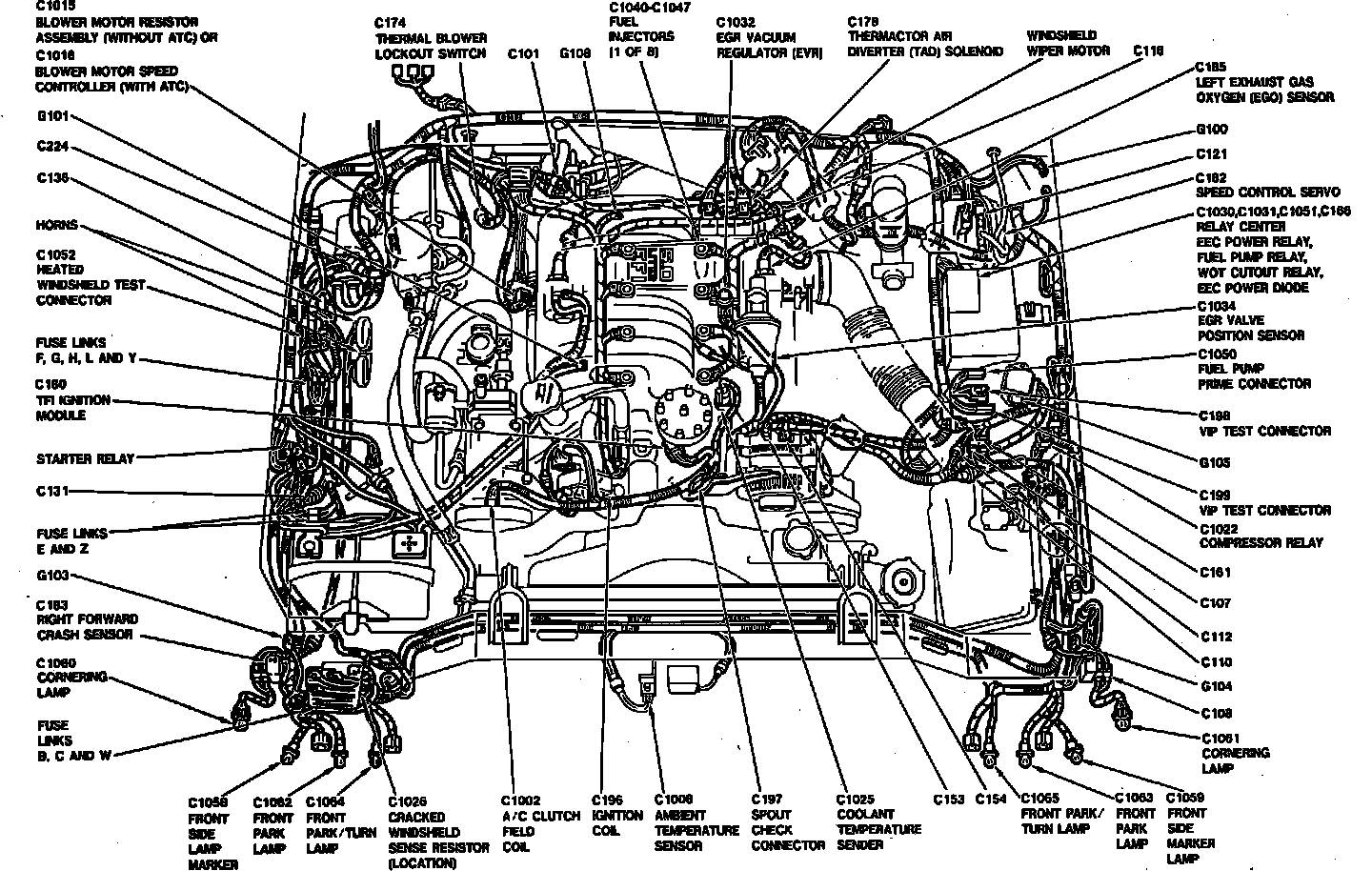 Factory diagram — Cruise Control Servo