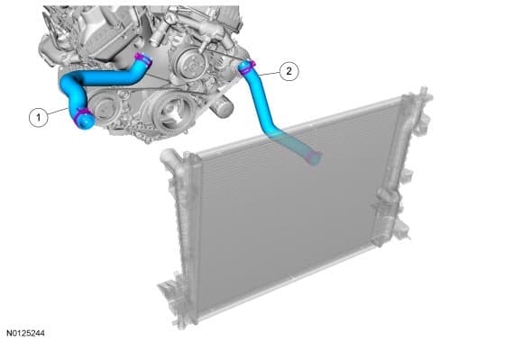 Factory diagram — Radiator Hose