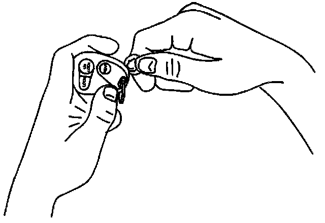 Factory diagram — Keyless Entry Transmitter Battery