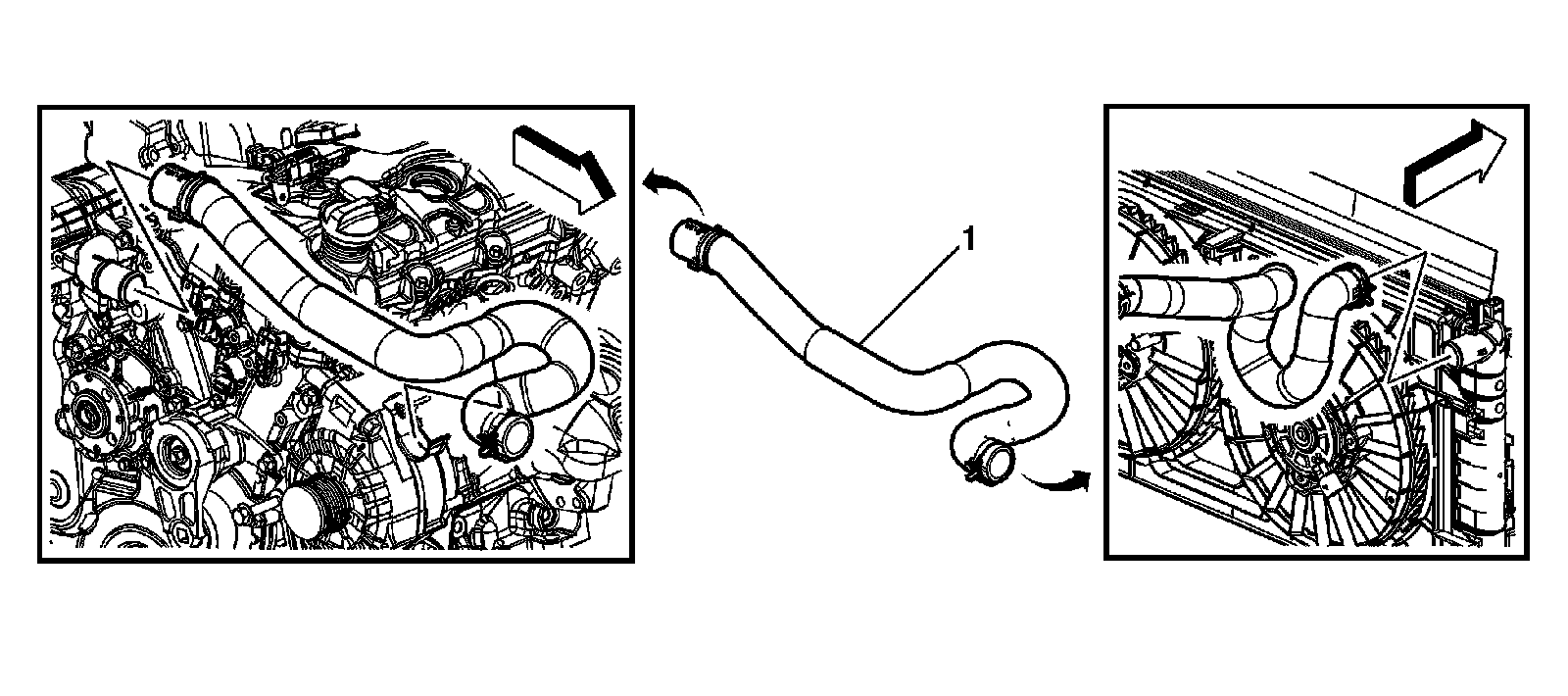 Factory diagram — Radiator Hose